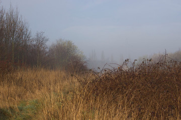  hidden path