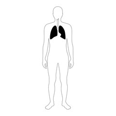 Poster - Vector isolated illustration of lung