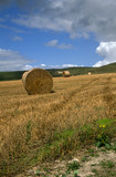 Fototapeta  - Hay bales in a field in the Salsbury Plain in the Wiltshire countryside with the Westbury white horse or Bratton white horse in the background