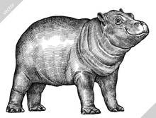 Black And White Engrave Isolated Hippo Vector Illustration
