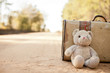 Ragged Teddybear and Old Suitcase on Dirt Road - Amber Alert