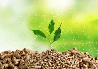 Poster - Growing plant tree  on background