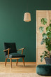 © Photographee.eu - Rattan armchair above retro dark green armchair, copy space on the empty green wall