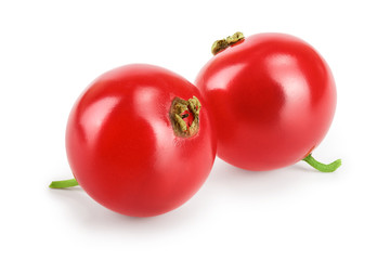 Red currant berry isolated on white background