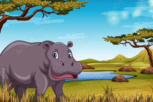 Fotografía Hippopotamus in the savanna scene