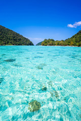 beautiful clear water at Surin island in Phang-nga Province Thailand