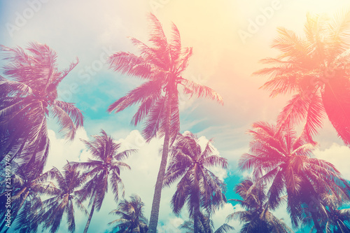 Copy space of tropical palm tree with sun light on sky background.
