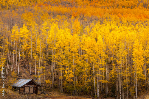 Woods And Cabin In Colorado At Autumn Buy This Stock Photo And