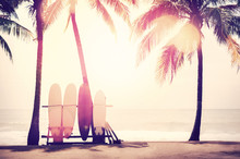 Surfboard And Palm Tree On Beach Background.