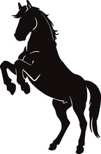 Rearing Up Wild Horse Fine Vector Silhouette - Vector