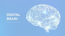 Brain. Digital Brain. 3D Science And Technology Concept. Neural Network. IQ Testing, Artificial Intelligence Virtual Emulation Science Technology. Brainstorm Think Idea. Vector Illustration.