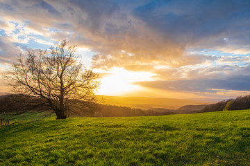 The ladscape in Germany in the sunlight