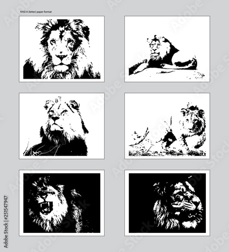Six vector posters with traced lion heads. Ansi A format mockup Slika na platnu