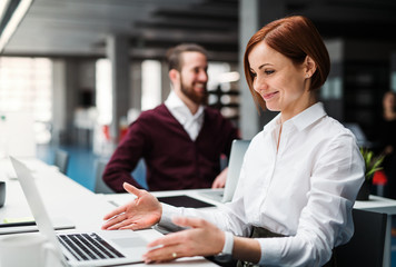 A young businesswoman working in office, using laptop.