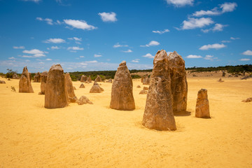 Wall Mural - The Pinnacles dessert in Western Australia with its famous upright standing stalagmites