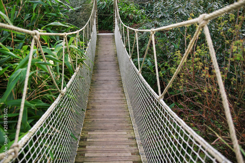 Obrazy most linowy  drewniany-most-wiszacy-w-lesie