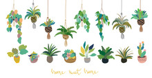 Urban Interior House Plants In Decorative Pots, Macrame Hanger Vector Illustration. Hand Drawn Art Succulents Cacti Ficus Tropical Plants In Scandinavian Minimal Style. Set Collection Isolated.