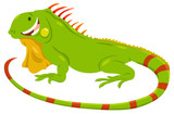 Fototapeta Dinusie - cartoon green iguana animal character