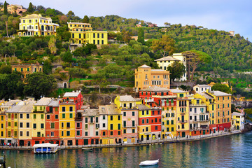 Poster - glimpse of Portofino with its colorful houses