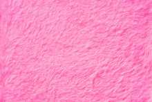 Pink Fur Texture Close Up. Pink Fluffy Fur Background