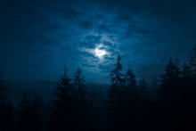 Night Mysterious Landscape In Cold Tones - Silhouettes Of The Spruce Forest Under The Full Moon Trough The Clouds On A Night Sky.