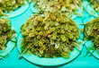 Close-up of freshly harvested green seaweed in portions on plates sold at the Central Wet Market in Puerto Princesa City, Palawan, Philippines