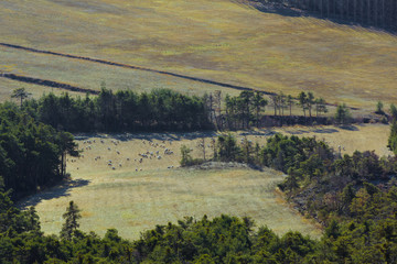 Sticker - View of the azure coast from a height of 1000