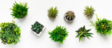Various Artificial Plants In Pots On White Table