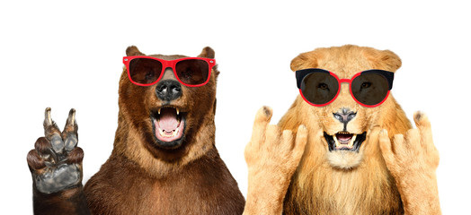 Wall Mural - funny bear and lion in sunglasses showing gestures, isolated on white background