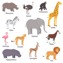 African Animals Set With Titles. Wildlife Africa. Rhinoceros, Ostrich, Chimpanzee, Zebra, Elephant, Giraffe, Flamingo, Cheetah, Okapi, Hippopotamus, Springbok, Lion. Isolated Vector Illustration