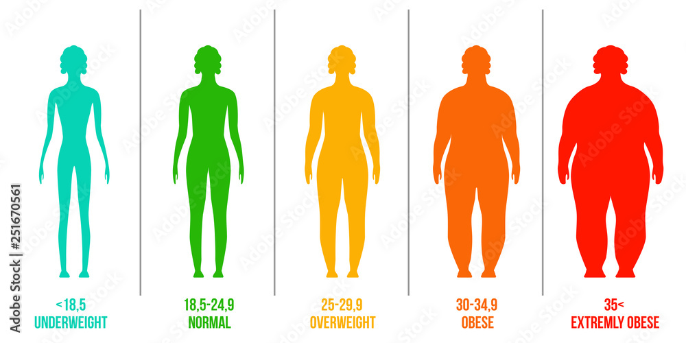 Creative vector illustration of bmi, body mass index infographic chart ...