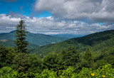 Fototapeta Na ścianę - Mountain top view in North Carolina