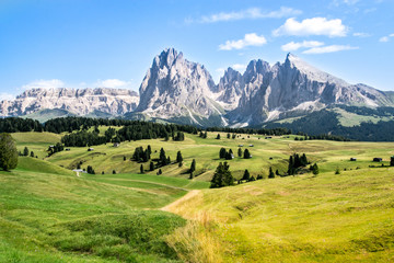 Alpe di Siusi in estate, alpeggio con i due colori verde e giallo, uno dell'erba fresca e l'altro del fieno di montagna.