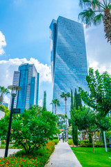 Wall Mural - Glass and steel skyscrapers over sarona market in Tel Aviv, Israel