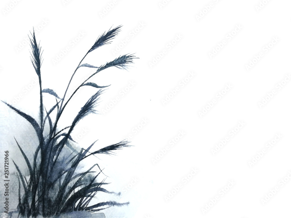 watercolor reeds or grass ink Traditional oriental. asia art style.isolated on a white background	 - obrazy, fototapety, plakaty 
