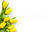 Fototapeta Tulipany - Spring composition. Delicate yellow tulips on white background top view space for text border