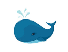 Whale On White Background