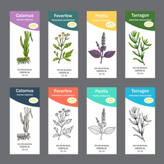 Wall Mural - Set of essential oil labels