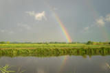 Fototapeta Tęcza - Bright double rainbow in the wide open dutch landscape called The Green Heart of Holland. Beautiful countryside of the Netherlands with a rainbow which is reflected in the water.