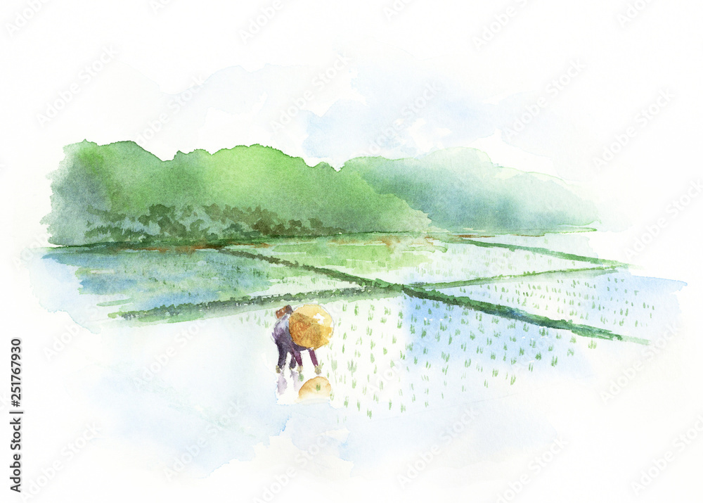 田植え 日本の風景 水彩画 Stock Illustration | Adobe Stock