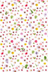 Wall Mural - Flowers pattern flat lay. 