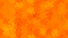 Falling Maple Leaves, Raindrops. Autumn Background. The Idea Of Design Of Tiles, Wallpaper, Packaging, Textiles, Background.