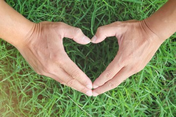 Heart shape made from two palm with green lush grass background