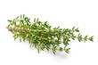 Fresh thyme sprigs isolated on white.