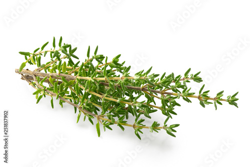 Fotomural Fresh thyme sprigs isolated on white.