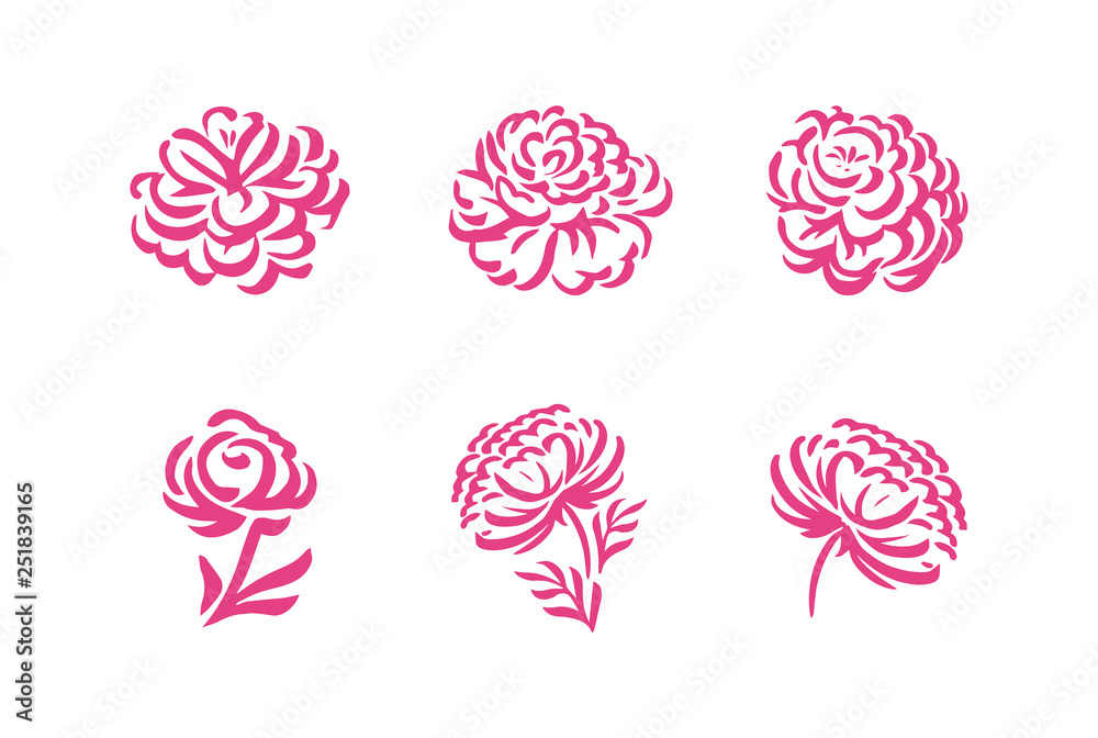 Vector silhouettes of hand drawn peony flowers isolated on white ...