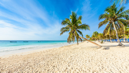 Wall Mural - Paradise Beach (also known for Playa Paraiso) at sunny summer day - beautiful and tropical caribbean coast at Tulum in Quintana Roo, Riviera Maya, Cancun,  Mexico