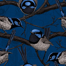 Seamless Pattern Made Of Hand Drawn Fairy Wrens. Element For Design.