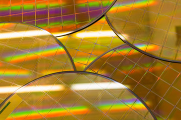 Wall Mural - Several Silicon Wafers with microchips - A wafer is a thin slice of semiconductor material, such as a crystalline silicon, used in electronics for the fabrication of integrated circuits.