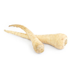 Wall Mural - Parsnip isolated